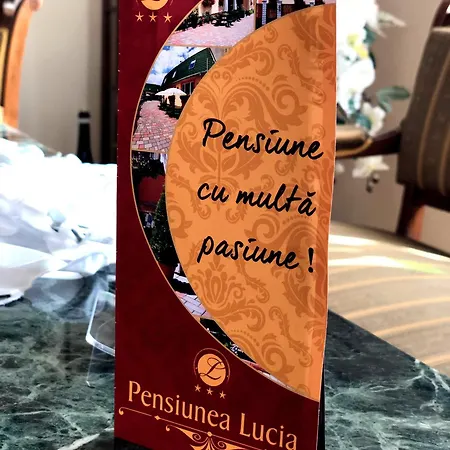 Penzion Pensiunea Lucia 3*