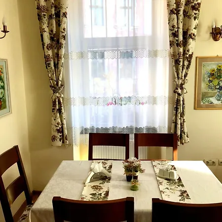 Penzion Pensiunea Lucia Sfântu-Gheorghe