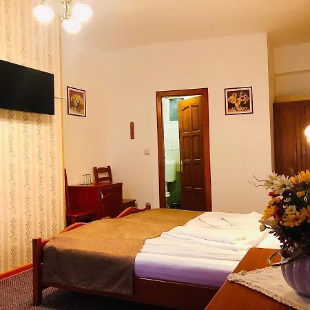 Penzion Pensiunea Lucia 3*